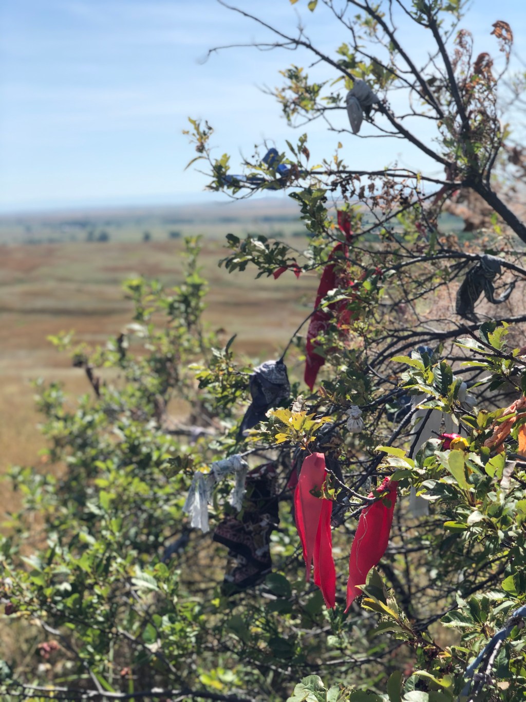 Rhetoric of Reciprocity