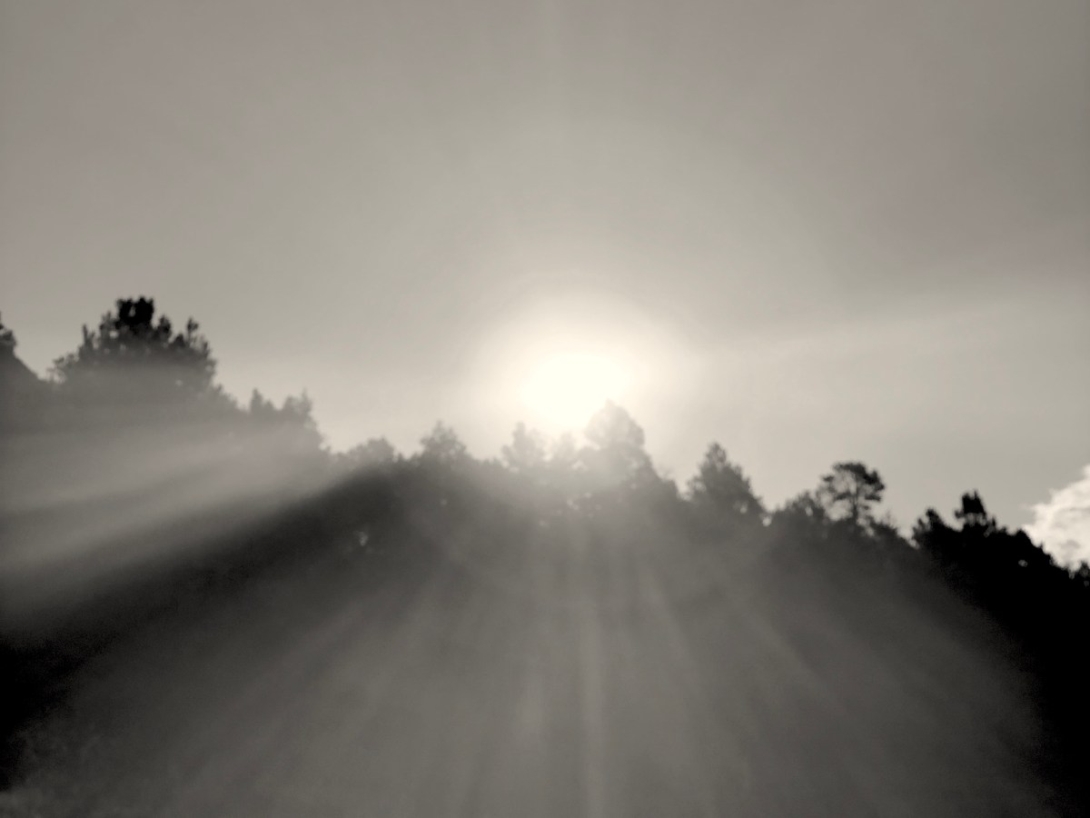 Destroying the Canon